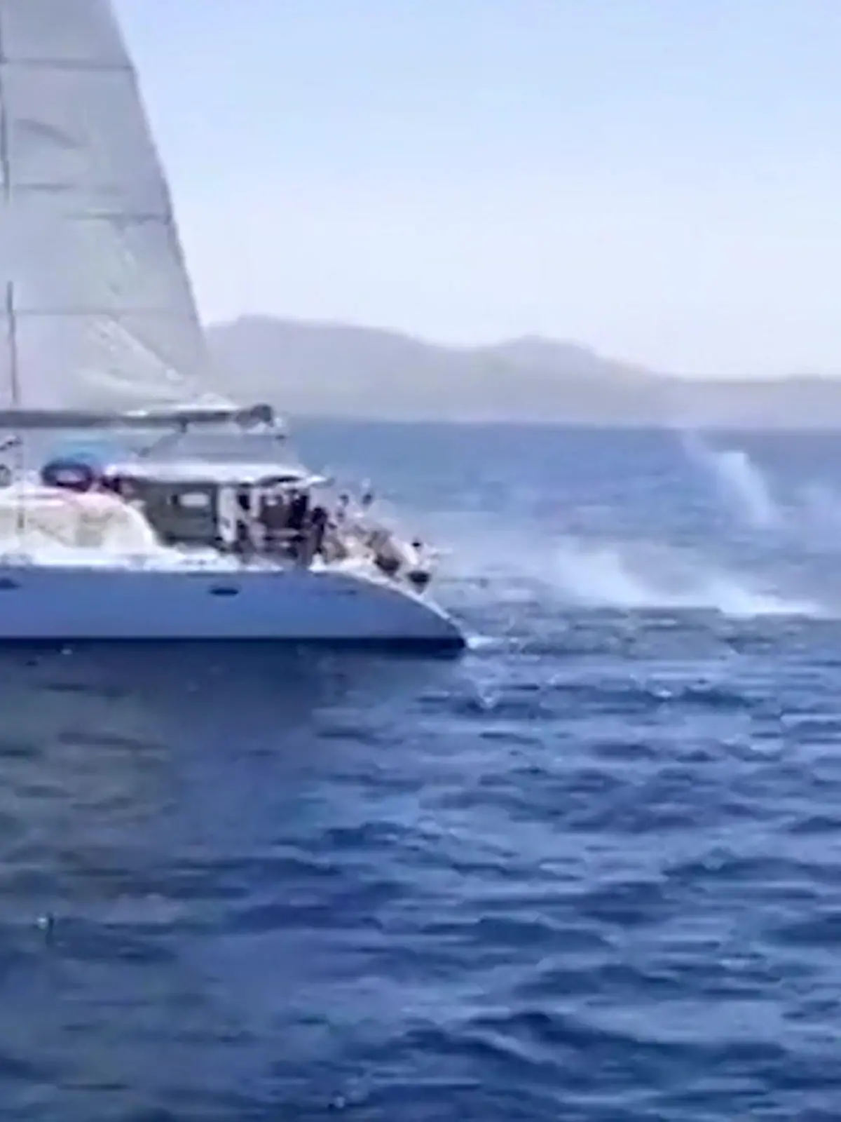 Über diese Frage diskutiert das Netz: Handelt es sich hier um Tierquälerei oder Notwehr? Zu sehen ist ein Segelboot auf der Straße von Gibraltar - die Segler schießen auf mehrere Orcas.