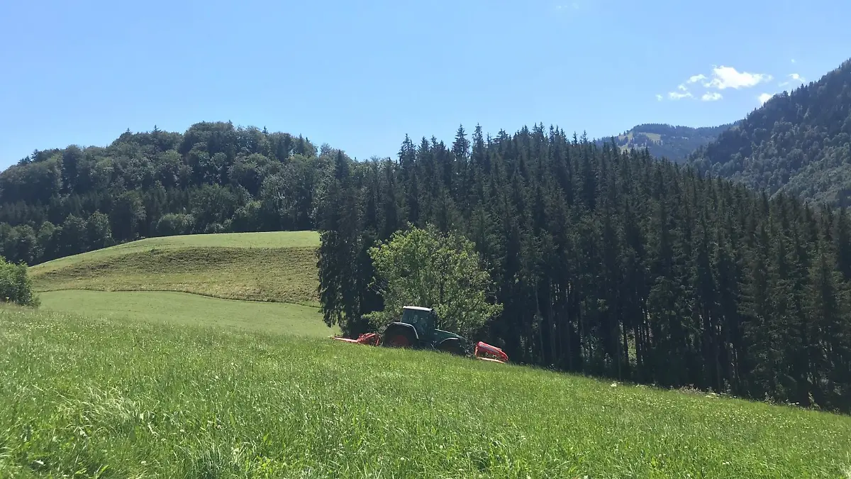 Mäh-Unfall im Allgäu