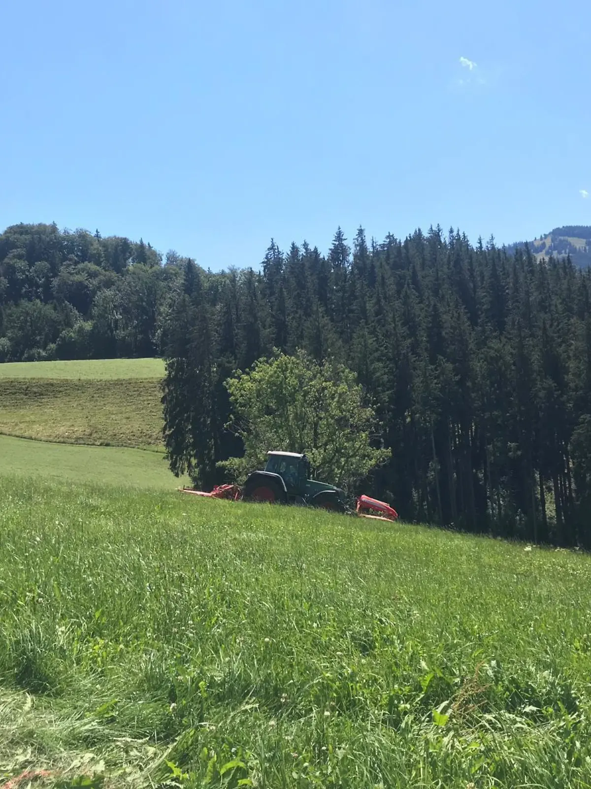 Mäh-Unfall im Allgäu