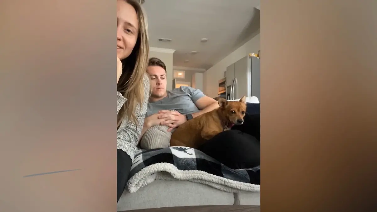 Hund ist eifersüchtig auf Freundin des Herrchens Küssen verboten!