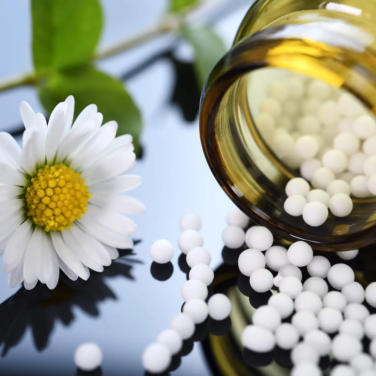 Naturheilkunde Logo von Naturheilkunde