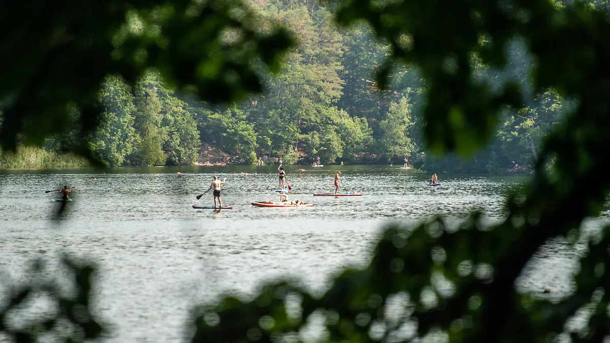 ARCHIV - 19.06.2021, Berlin: Stand-Up Paddler fahren auf dem Schlachtensee. In diesem See wie in anderen Gewässern gab es in den Vorjahren Hinweise auf Saugwürmer im Wasser. Ihre winzigen Larven, die so genannten Zerkarien, treten vermehrt an Ufern mit vielen Pflanzen und Vögeln auf und können Hautentzündungen verursachen. Foto: Christophe Gateau/dpa +++ dpa-Bildfunk +++