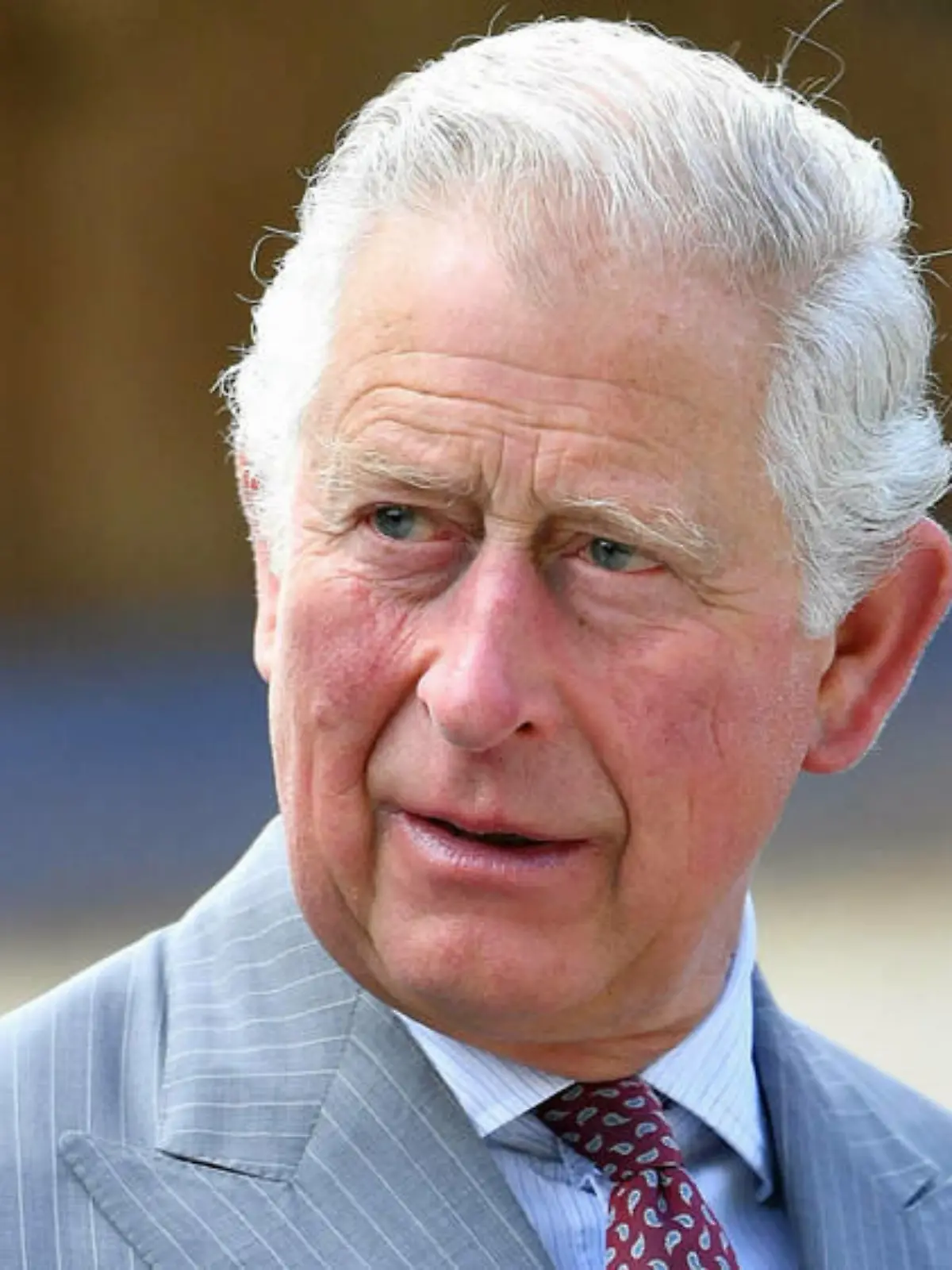 Mann bricht vor Prinz Charles zusammen