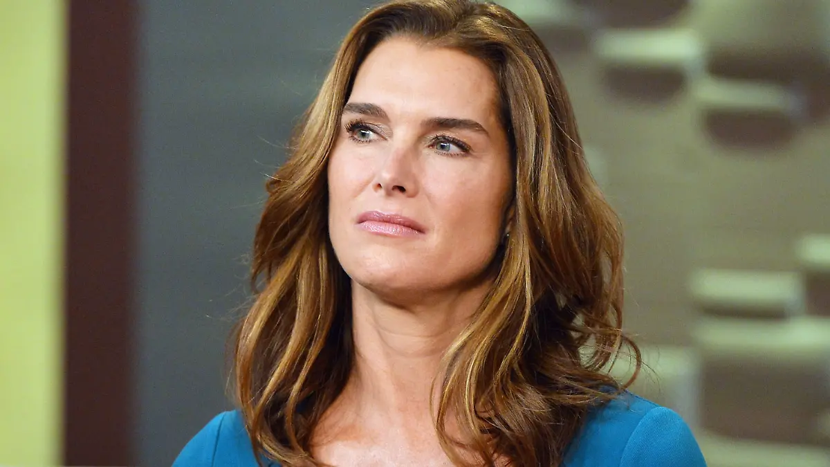NEW YORK, NY - DECEMBER 04:  Actress Brooke Shields visits "FOX & Friends" at FOX Studios on December 4, 2014 in New York City.  (Photo by Slaven Vlasic/Getty Images)