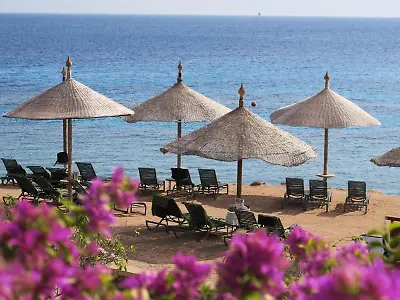 Die besten Reise-Deals für Ägypten im Überblick