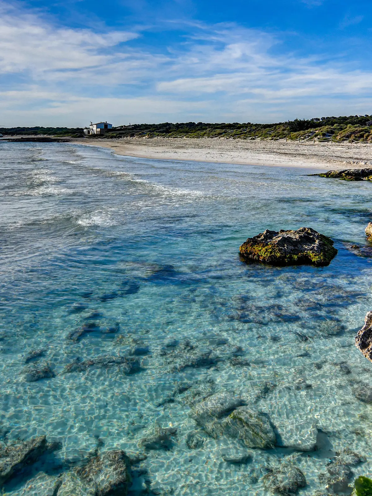 ARCHIV - 03.05.2020, Spanien, Palma De Mallorca: Blick auf den leeren Strand von Ses Covetes. Die Abwesenheit von Touristen ist an den Stränden Mallorcas spürbar. «Das Wasser ist derzeit spektakulär transparent», sagt der Biologe Txema Brotons. (zu dpa "Mallorca ohne Urlauber - ein Segen für die Umwelt?") Foto: Espa Photo Agency/CSM via ZUMA Wire/dpa +++ dpa-Bildfunk +++