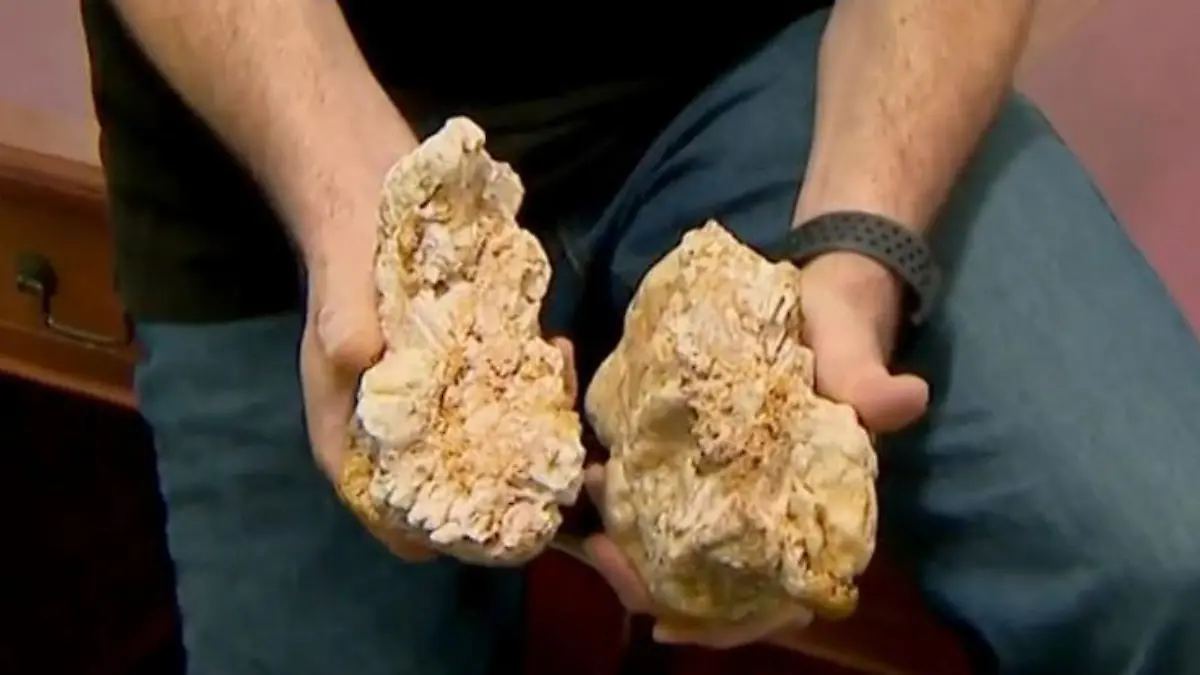 Mit einem der zwei abgebrochenen Teile kam der glückliche Finder zum Goldexperten. (Credit: 9News)