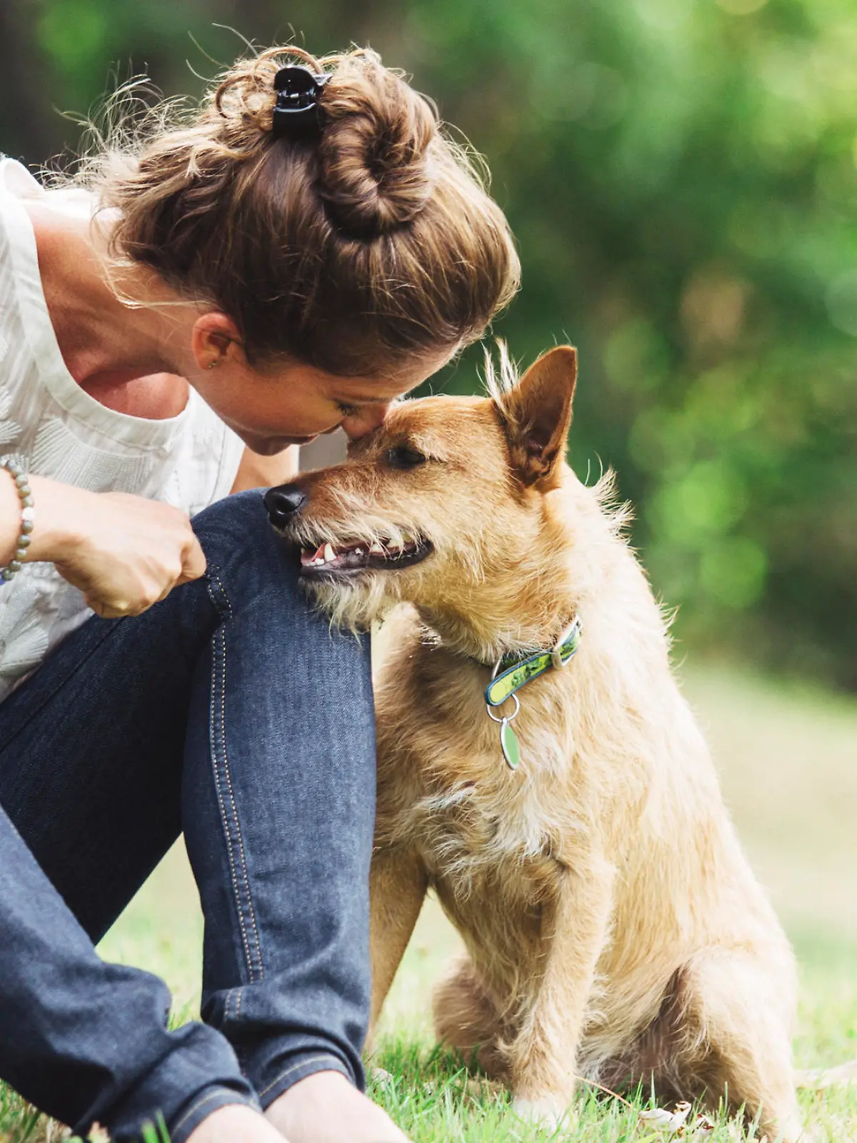 Bild zu: "So gehen Sie mit Ihrem Hund im Alter richtig um!"