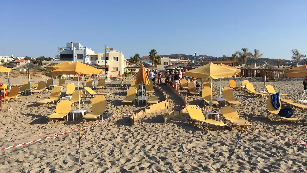 Meeresschildkröten Aktion auf Kreta