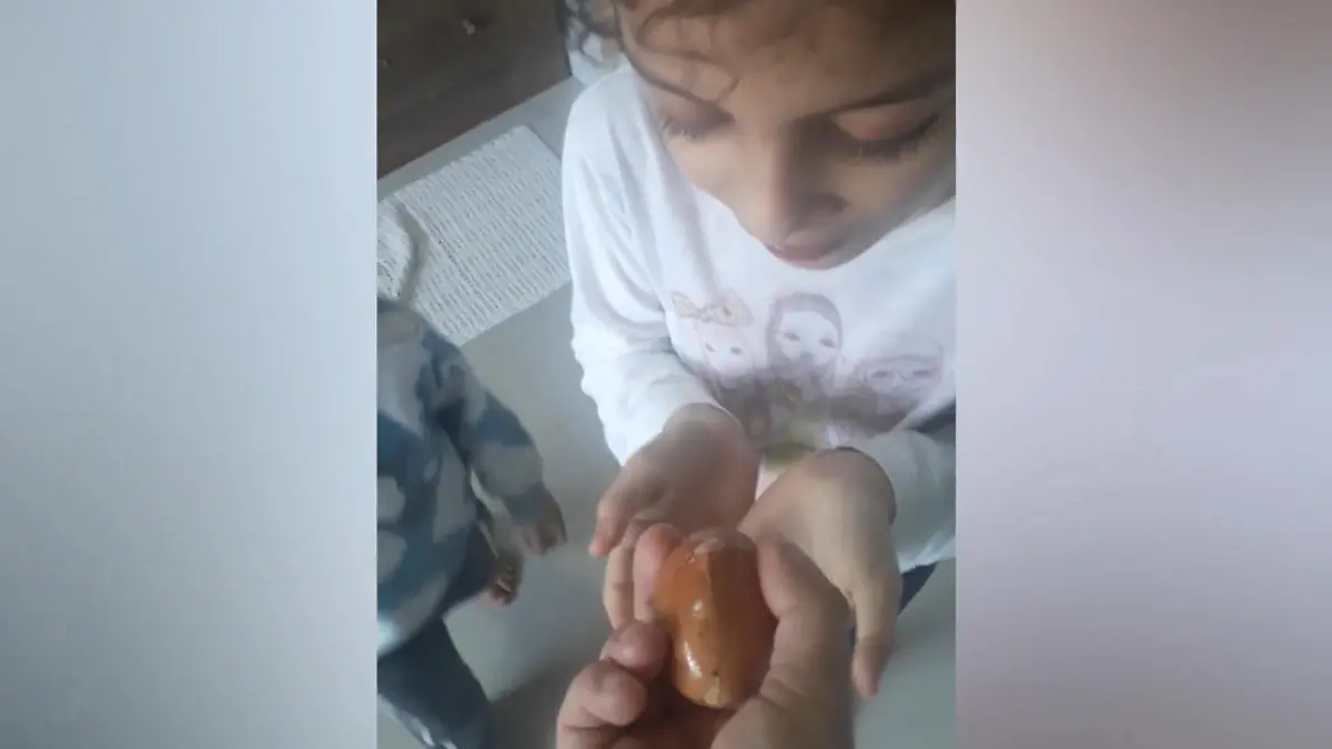 Was hier gleich schlüpft, ist kein Küken Daddy spielt seinen Kids ganz fiesen Streich