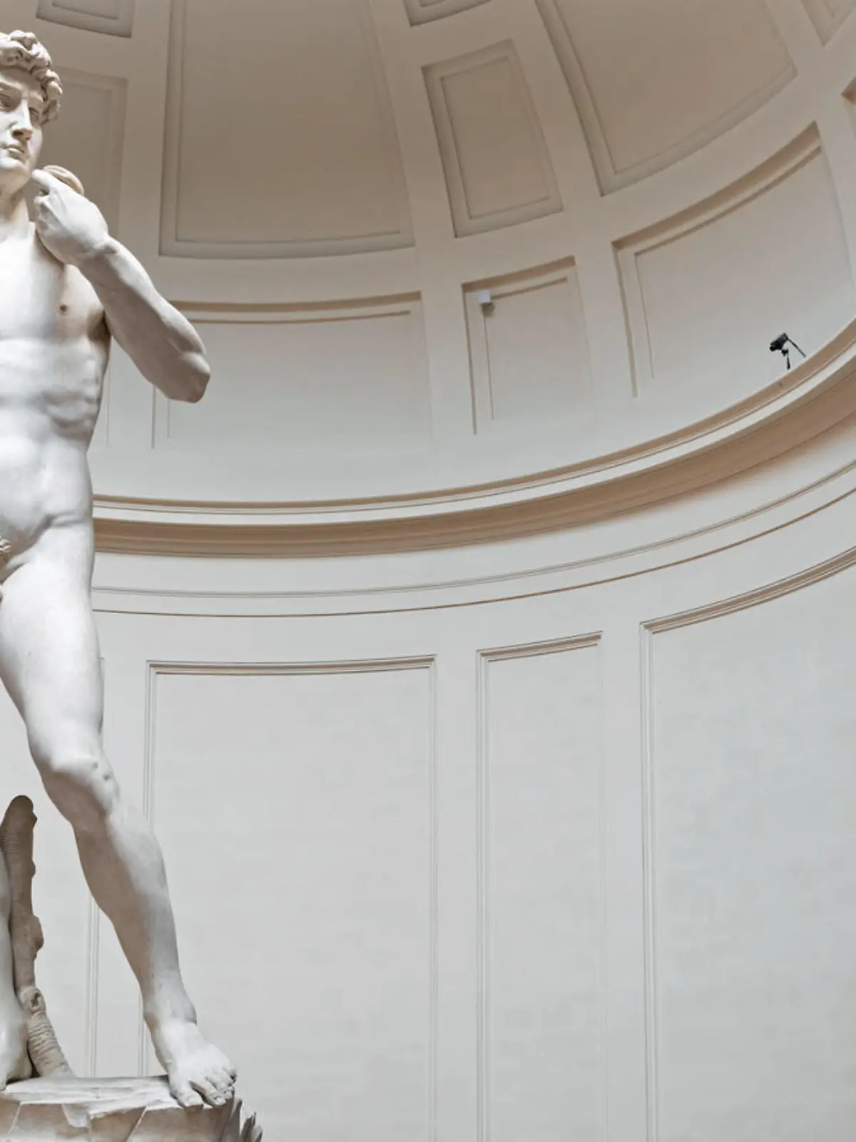 David