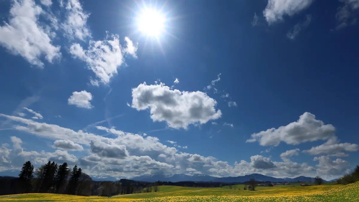 epi_226772870_DPA PA_520961390_Löwenzahnblüte im Al.jpg