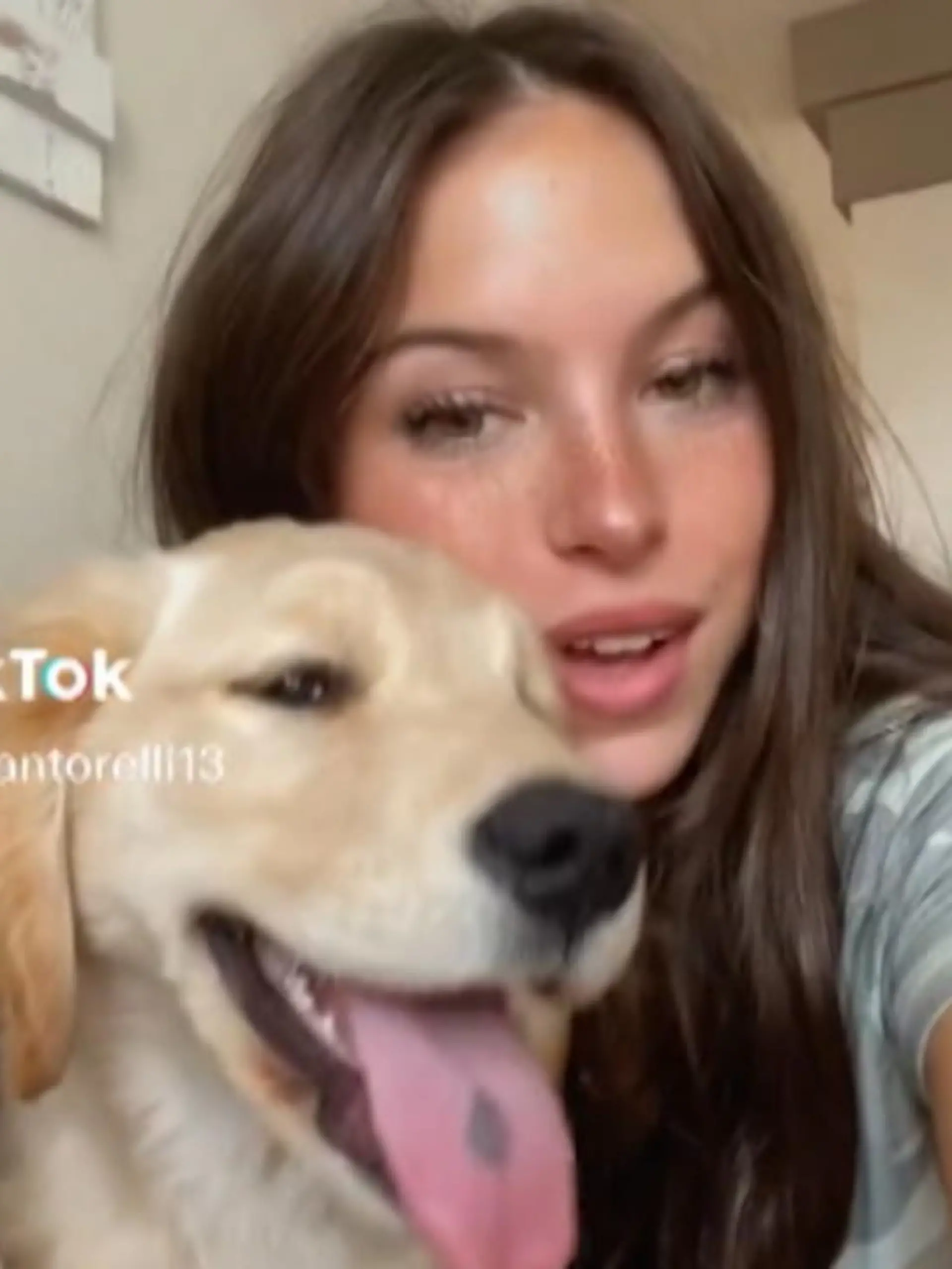 Kara Santorelli (18) steht kurz vor ihrem Highschool-Abschluss, postet auf Tiktok gerne Videos von sich und ihren Freunden. Dort ist sie ein kleiner Star und hat mehr als 44.000 Follower. Am 11. März lädt die 18-Jährige ein Video hoch, in dem sie damit prahlt, noch nie in einen Autounfall verwickelt gewesen zu sein. Sechs Tage später kracht ein Geisterfahrer in Florida in ihren Wagen, berichtet die "New York Post". Kara stirbt.