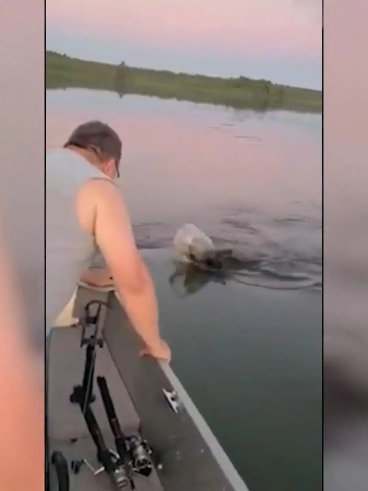 Bei einem Angeltrip in den USA im Bundesstaat Wisconsin hat eine Familie einem Baby-Bären das Leben gerettet. Der kleine Bär paddelte durch den See, auf dem die beiden unterwegs waren. Er war mit seinem Kopf in einen großen Plastikkanister geraten, in dem schon Wasser hin und her schwappte. Die ganze Rettungsaktion - im Video.