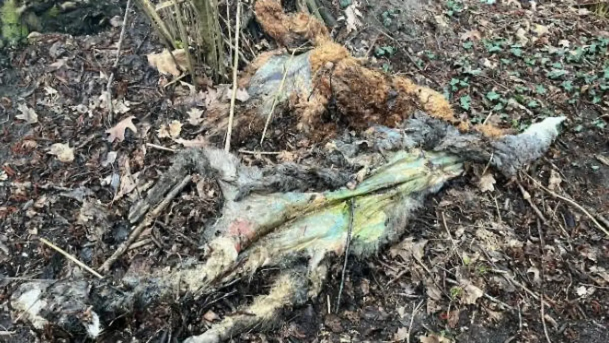 Von den Alpakas war nur noch die Haut mit dem Fell da. Von einem Tier fehlte sogar der Kopf.