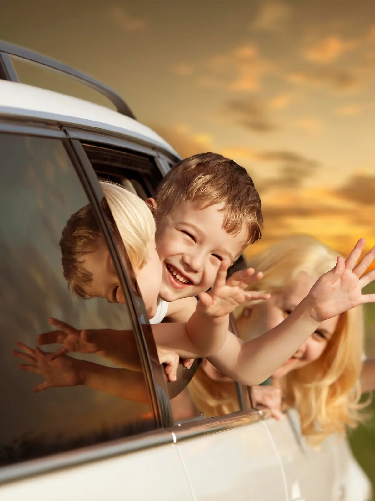 iStock 000013851656 Large