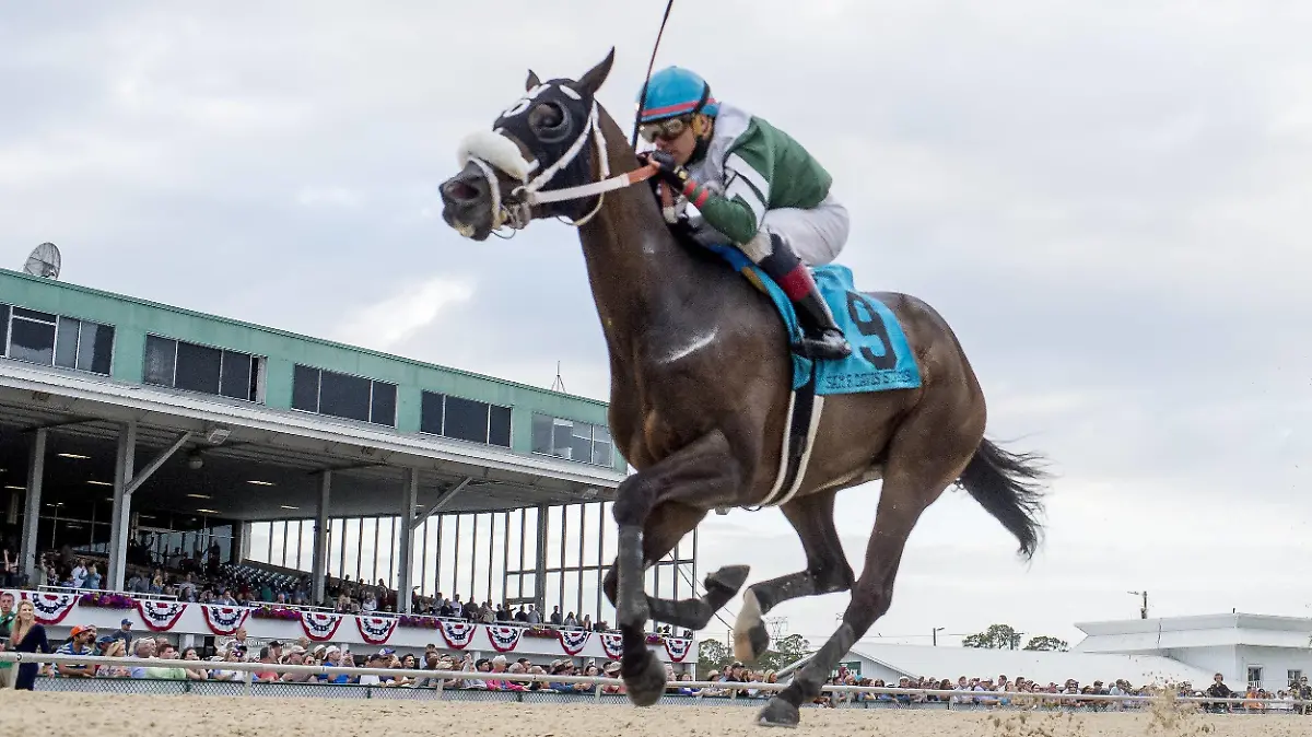 February 9, 2019 - Tampa, Florida, U.S. - February 9, 2019: Well Defined 9, ridden by Pablo Morales, wins the Sam F. Davis Stakes on Tampa Bay Derby Preview Day at Tampa Bay Downs in Tampa, Florida. /Eclipse Sportswire/CSM Horse Racing 2019: TAMPA DERBY PREVIEW DAY FEB 09 - ZUMAcs17 20190209_zaf_cs17_008 Copyright: xScottxSeriox
