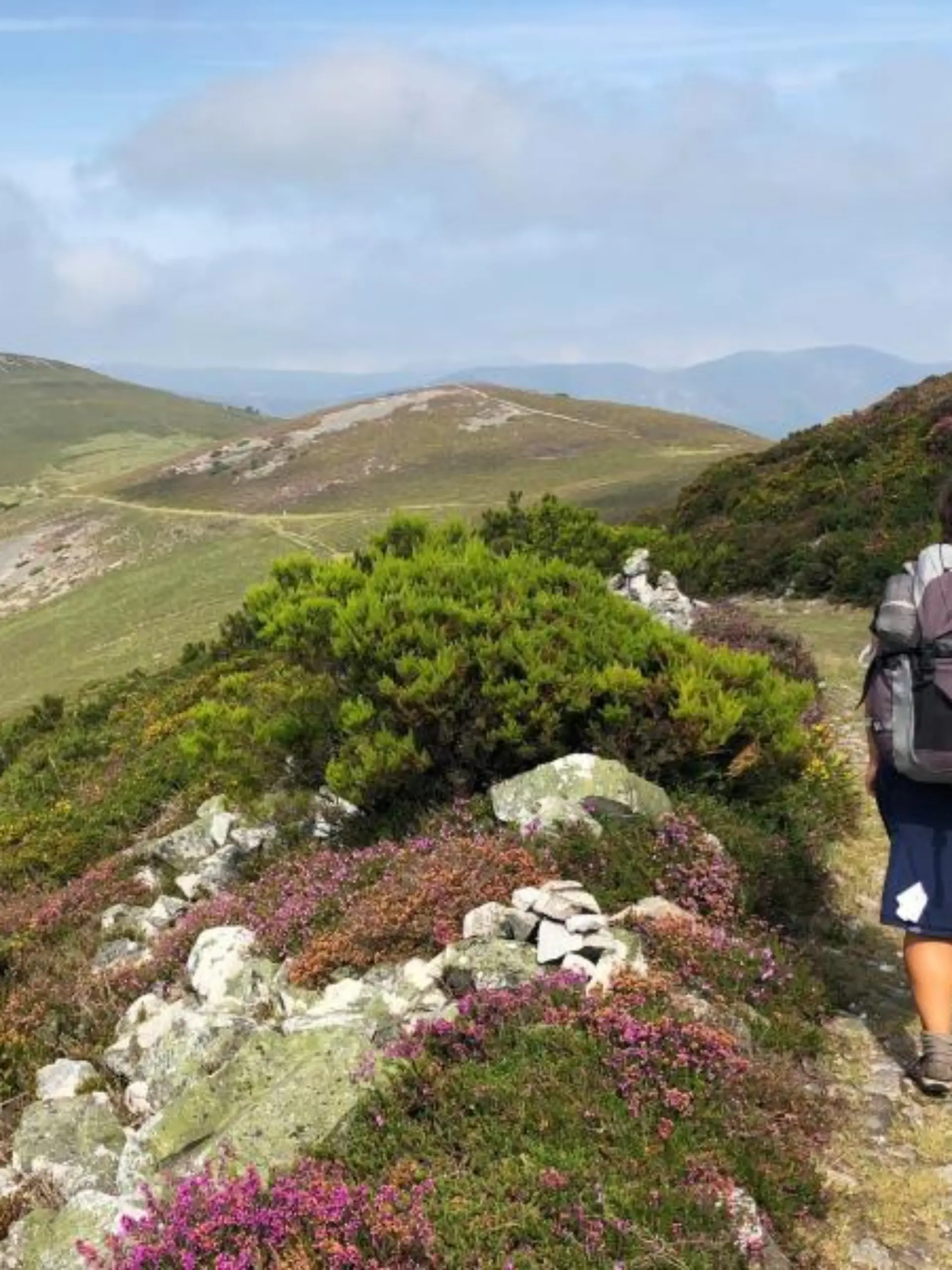 Camino Primitivo