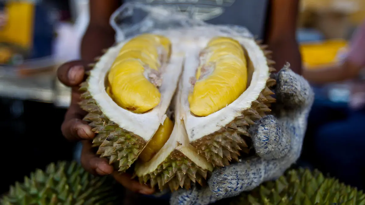 ARCHIV - 25.11.2017, Malaysia, Bentong: Eine Durian-Frucht der Sorte «Musang King», auch Stinkfrucht oder Kotzfrucht genannt, wird während des «International Durian Cultural Tourism Festivals» gezeigt. Ein Paket, aus dem stinkende Gase austraten, hat in Schweinfurt einen Großeinsatz von Polizei, Feuerwehr und Rettungsdiensten ausgelöst. (zu dpa Thailändische Stinkfrucht löst Großeinsatz aus) Foto: Sadiq Asyraf/AP/dpa +++ dpa-Bildfunk +++