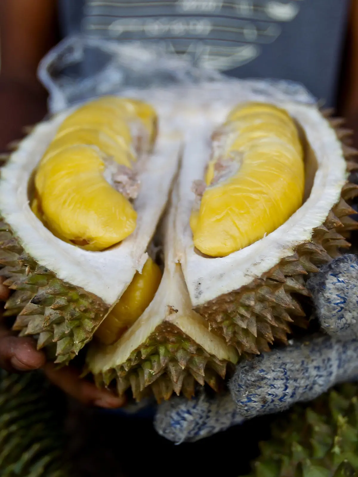 ARCHIV - 25.11.2017, Malaysia, Bentong: Eine Durian-Frucht der Sorte «Musang King», auch Stinkfrucht oder Kotzfrucht genannt, wird während des «International Durian Cultural Tourism Festivals» gezeigt. Ein Paket, aus dem stinkende Gase austraten, hat in Schweinfurt einen Großeinsatz von Polizei, Feuerwehr und Rettungsdiensten ausgelöst. (zu dpa Thailändische Stinkfrucht löst Großeinsatz aus) Foto: Sadiq Asyraf/AP/dpa +++ dpa-Bildfunk +++