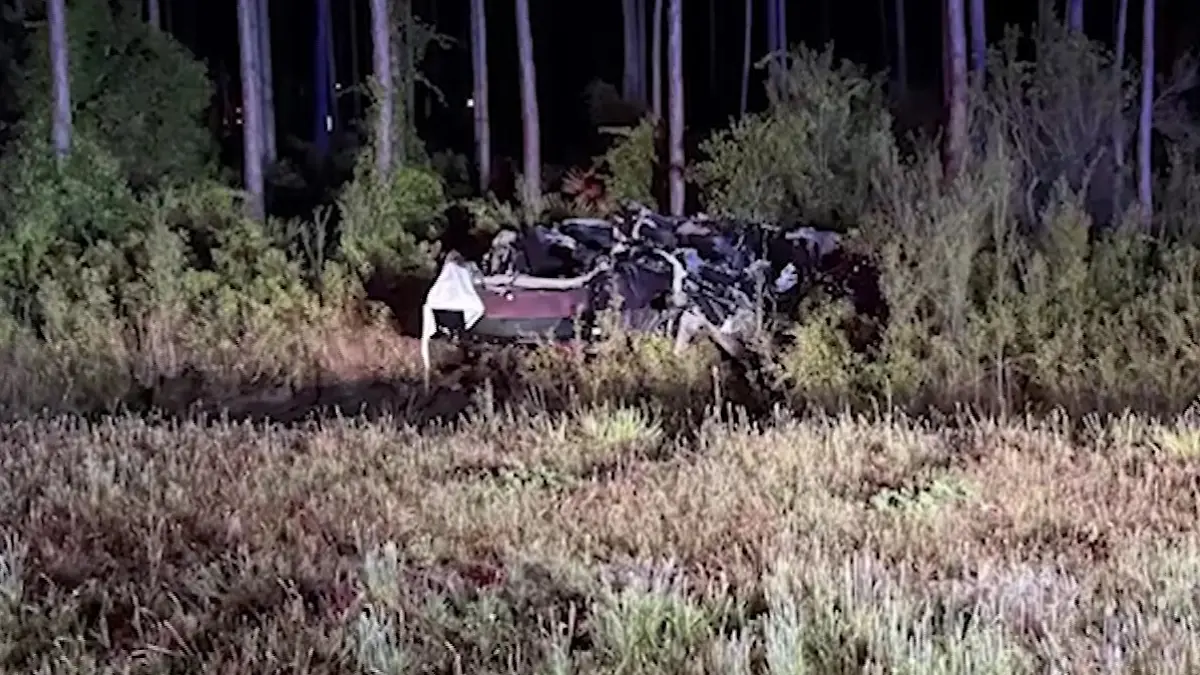 Das Auto der jungen Frauen kam nach dem Crash in einem Waldstück zum Stehen.