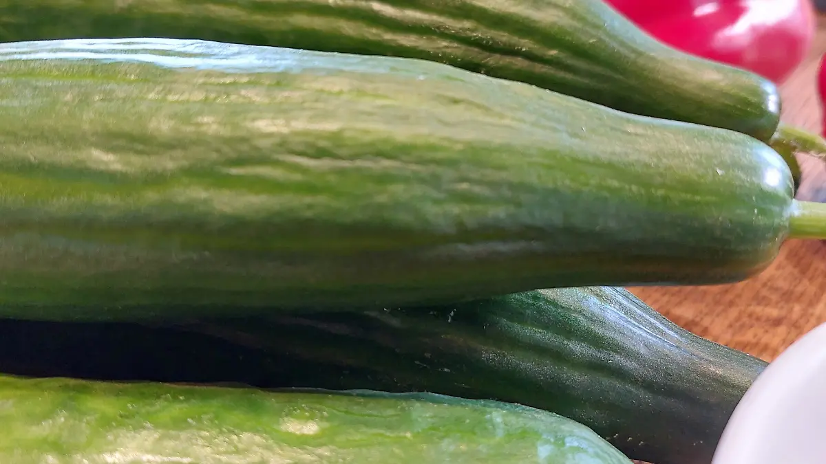 Niedersachsen setzt auf Gurken beim Anbau!
