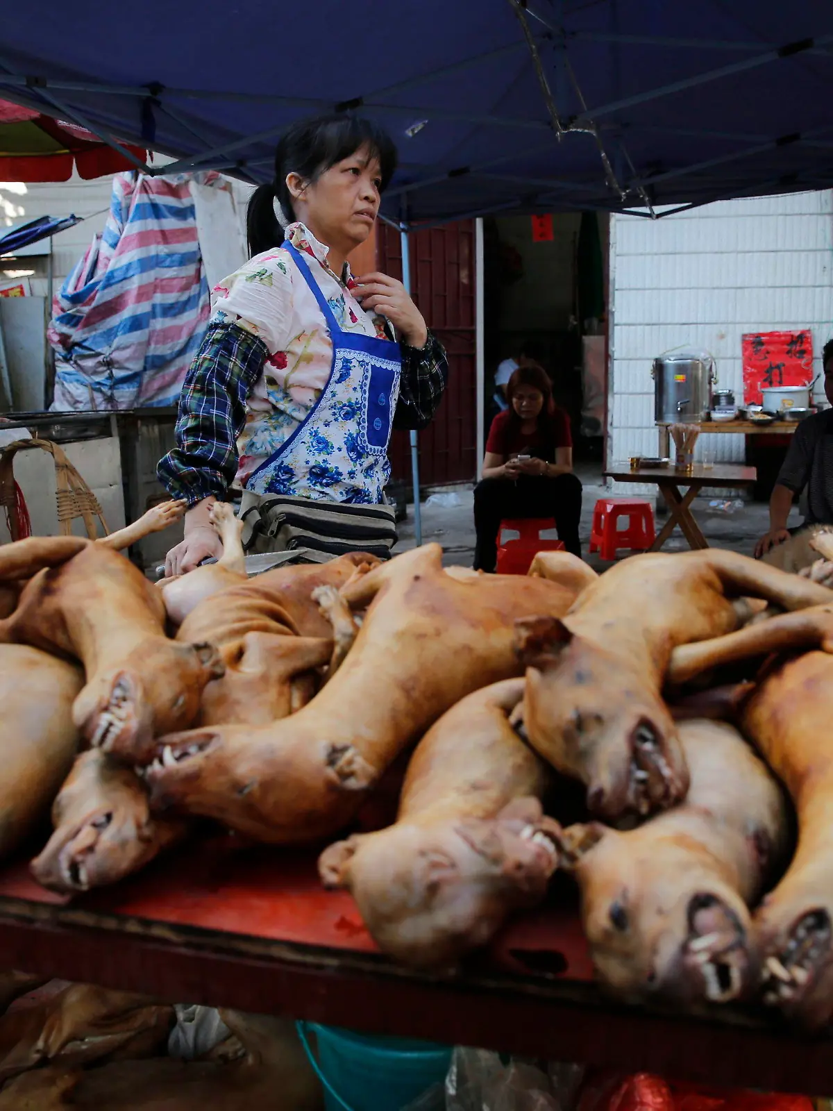 ARCHIV - Hundefleisch wird am 21.06.2016 auf dem Hundefleisch-Festival in Yulin, Guangxi, China angeboten. Im Kampf gegen das umstrittene Hundefleisch-Festival in China haben Tierschützer erreicht, dass die Stadt Yulin Restaurants, Straßenständen und Markthändler in diesem Jahr verbieten wird, Hundefleisch während des Festes zu verkaufen. (zu dpa Aktivisten: China verbietet Hundefleisch-Verkauf auf Festival vom 18.05.2017) Foto: Wu Hong/EPA/dpa +++(c) dpa - Bildfunk+++