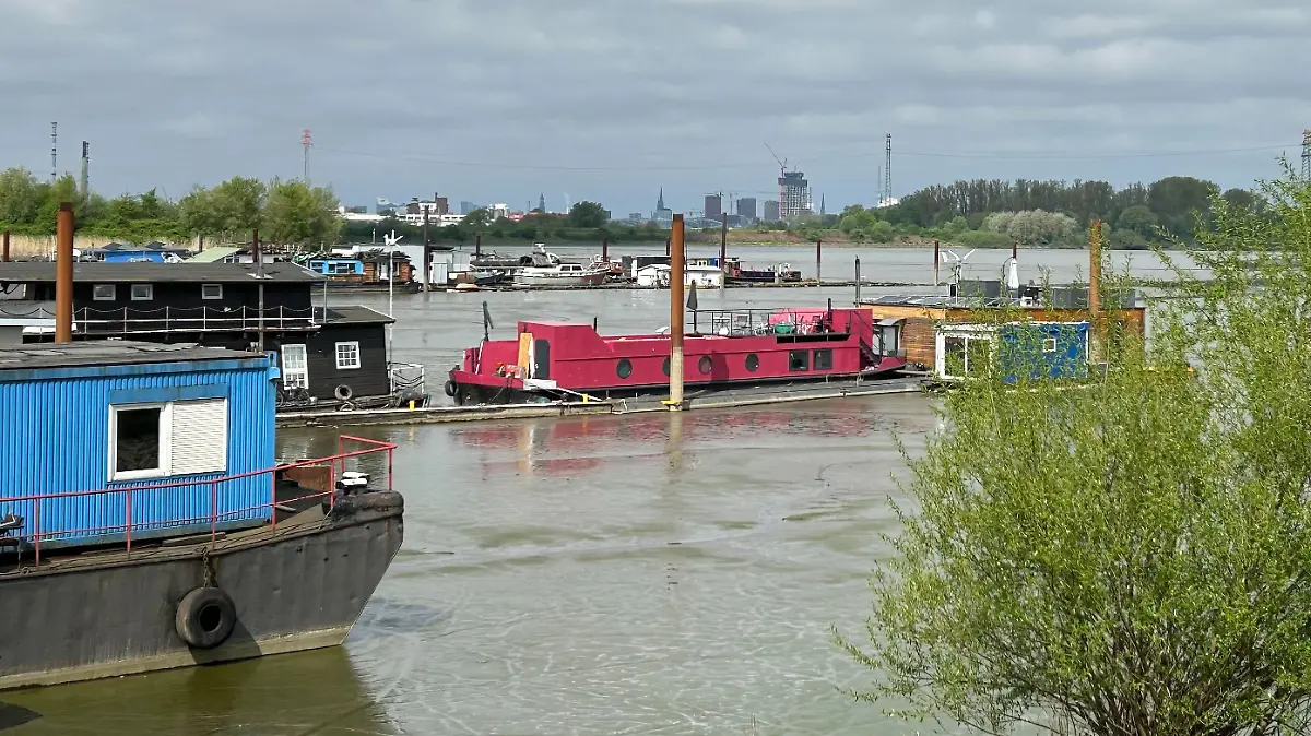 Auf dem pinken Hausboot wird die leblose Frau am Dienstag entdeckt. 