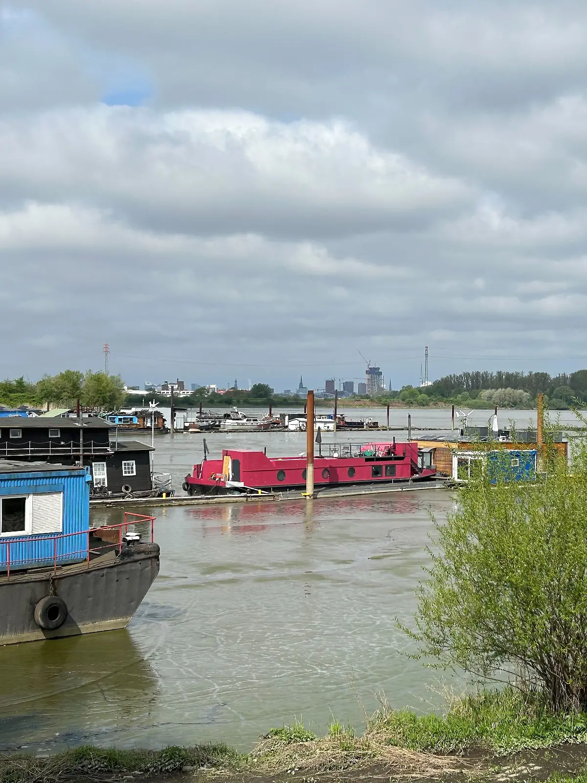 Auf dem pinken Hausboot wird die leblose Frau am Dienstag entdeckt. 