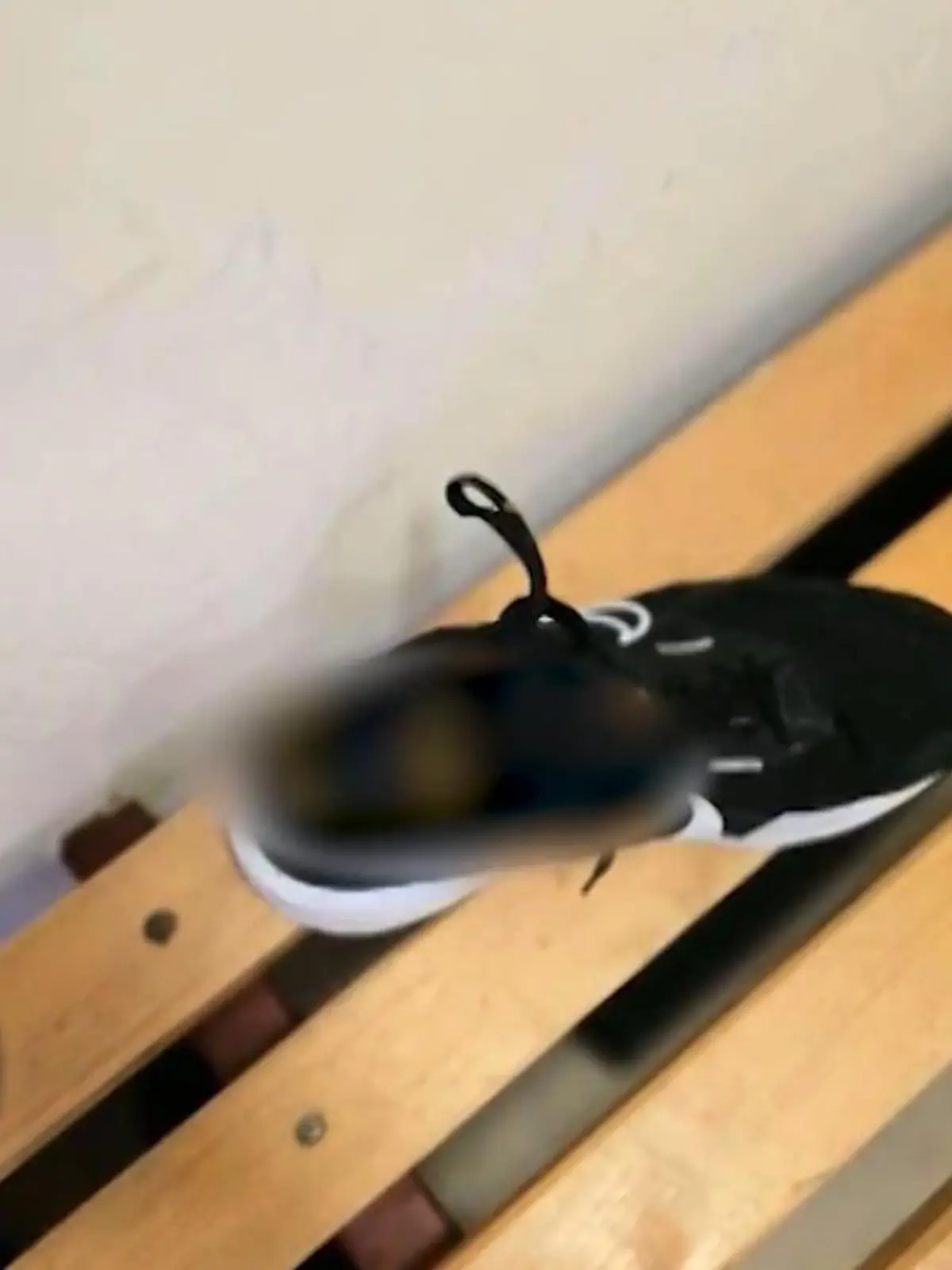 Bild zu: "Dieses Foul ist widerlich! Unbekannter kackt Schiri in Schuhe"