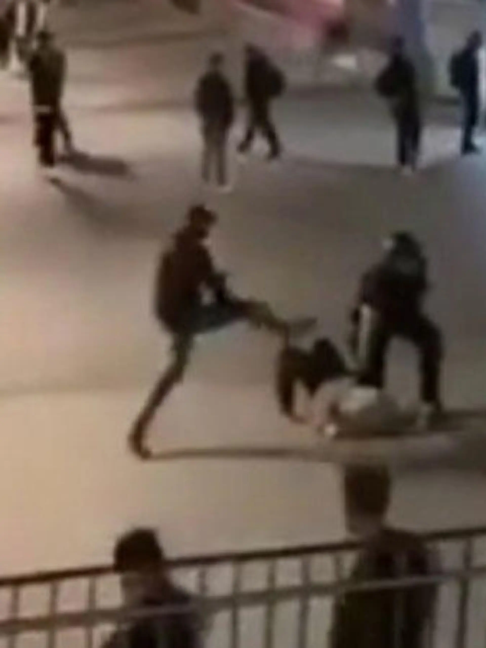 Bild zu: "Stuttgart: Karate-Tritt schockiert"