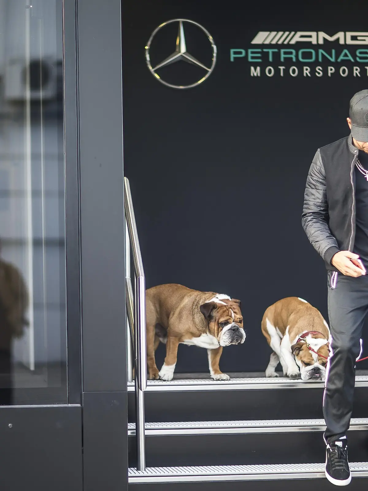 Lewis Hamilton und Hund Coco