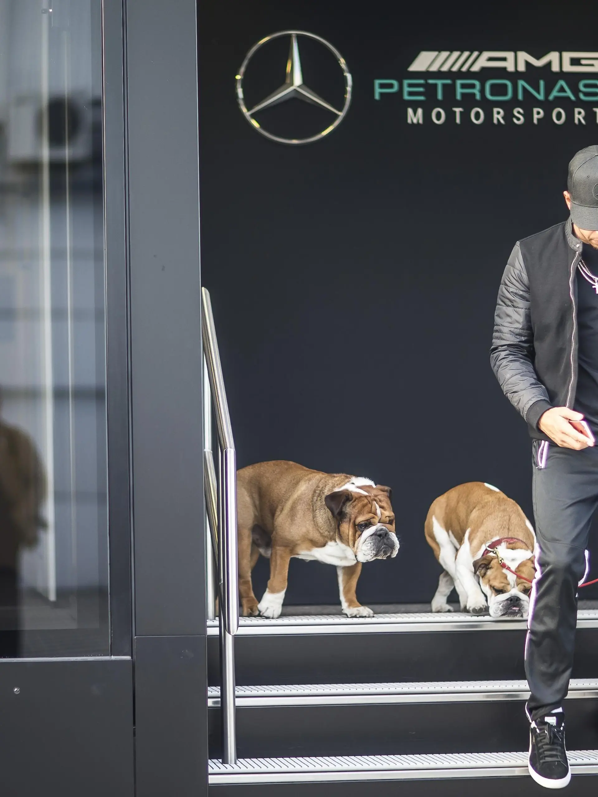 Lewis Hamilton und Hund Coco
