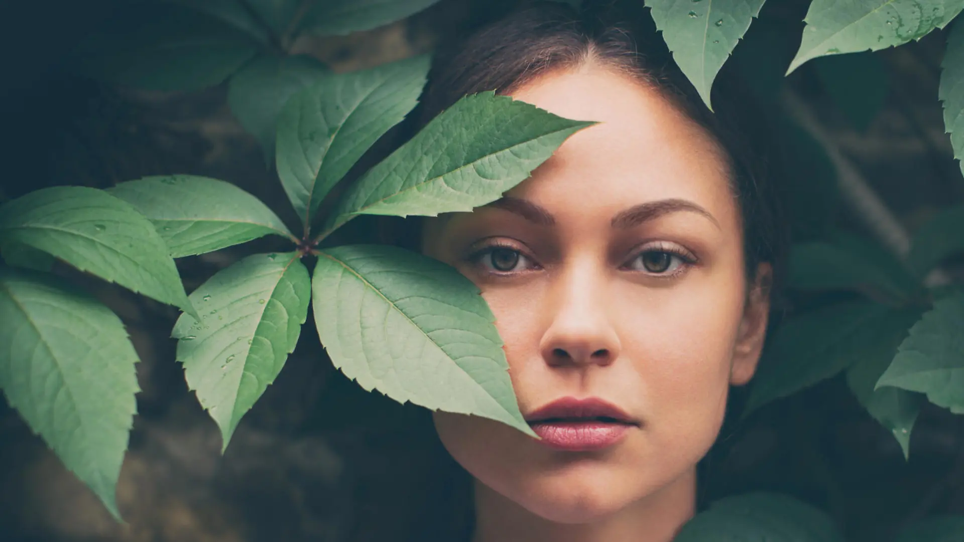 Portrait of beautiful fashion model looking at camera from the green leaves of big plant. She has no make up. She wears a white shirt and looks amazing.