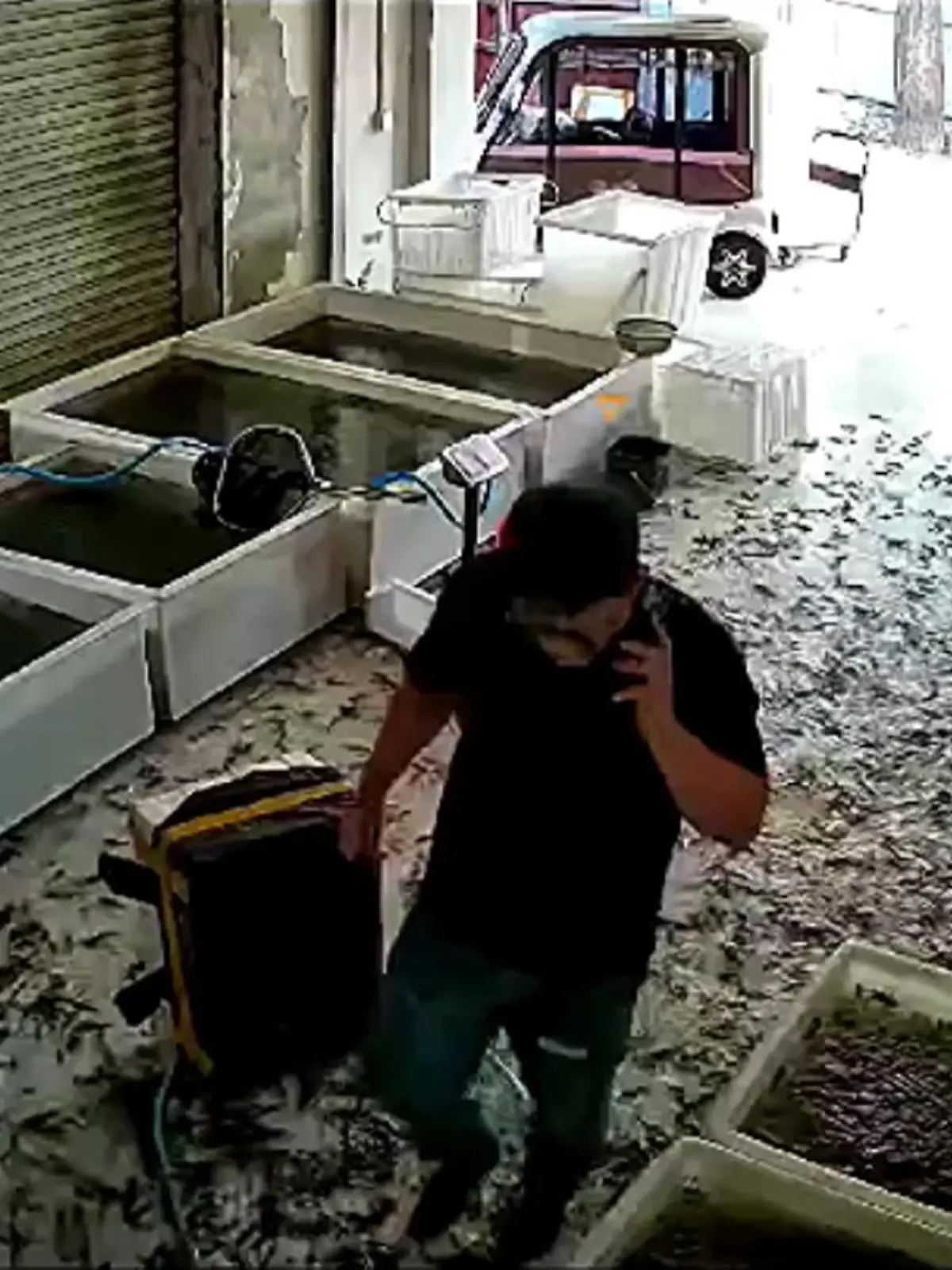 Fische fluten Fachgeschäft – XXL-Tank geplatzt!