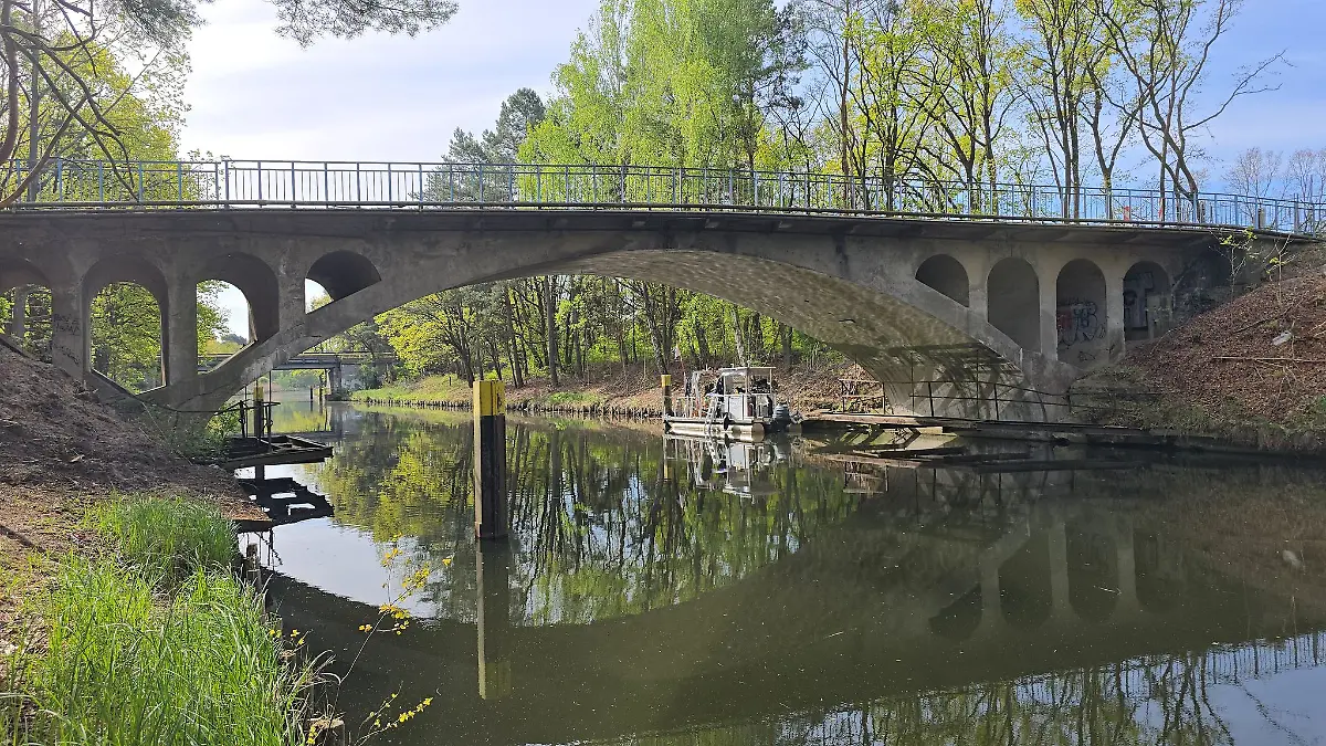 Unter dieser Brücke ist der Kopf eines Menschen gefunden worden.