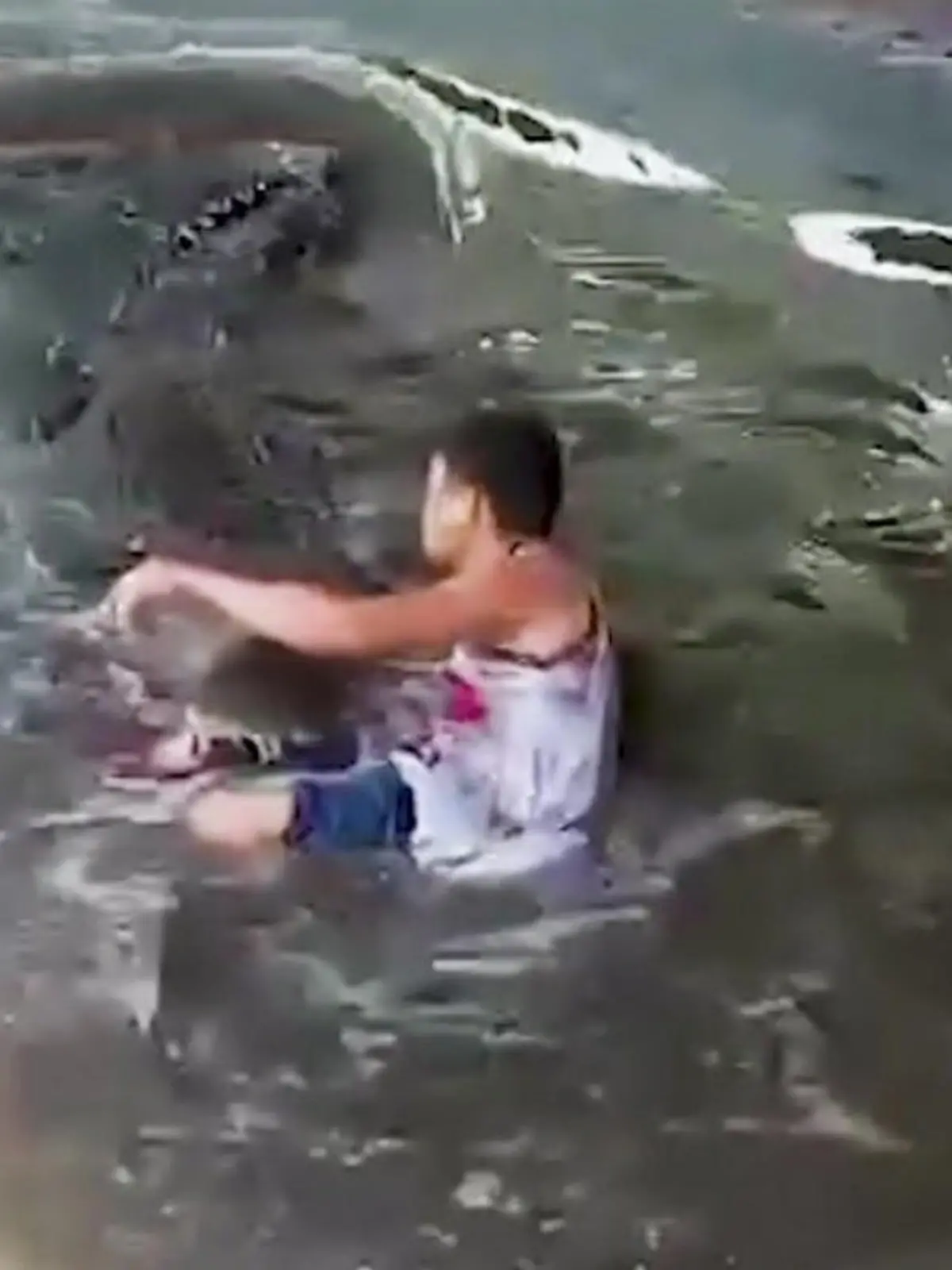 Bild zu: "Krokodil beißt sich in Touri fest"