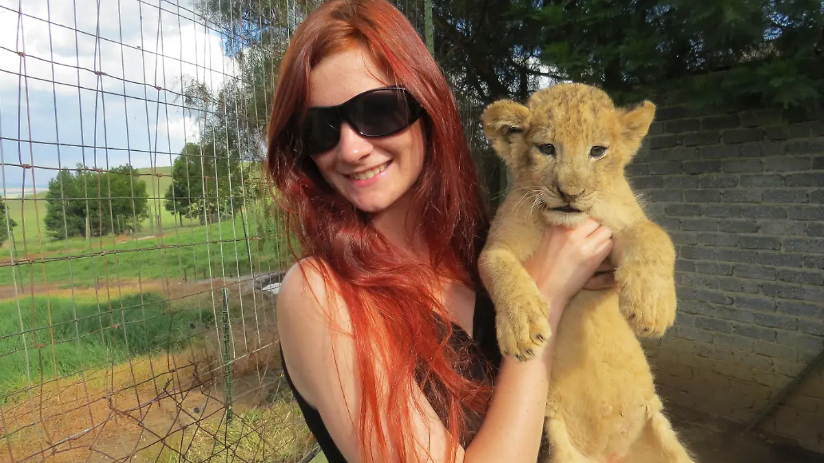 Eine Touristin hält ein Löwenbaby in einem Gehege auf dem Arm, aufgenommen am 10. Januar 2015 auf der Moreson's Ranch in Vrede, Free State, Südafrika. Foto: Sinikka Tarvainen/dpa (zu dpa «Löwenbabys in Südafrika: Teure Trophäen für Touristen» vom 13.02.2015) +++(c) dpa - Bildfunk+++
