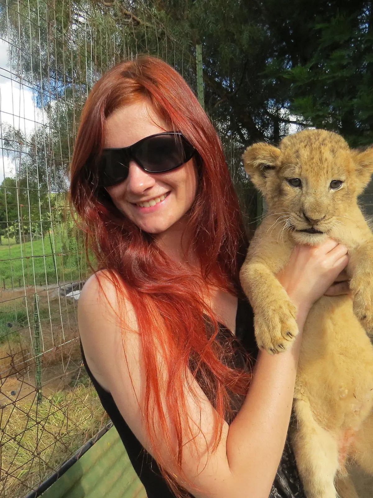 Eine Touristin hält ein Löwenbaby in einem Gehege auf dem Arm, aufgenommen am 10. Januar 2015 auf der Moreson's Ranch in Vrede, Free State, Südafrika. Foto: Sinikka Tarvainen/dpa (zu dpa «Löwenbabys in Südafrika: Teure Trophäen für Touristen» vom 13.02.2015) +++(c) dpa - Bildfunk+++