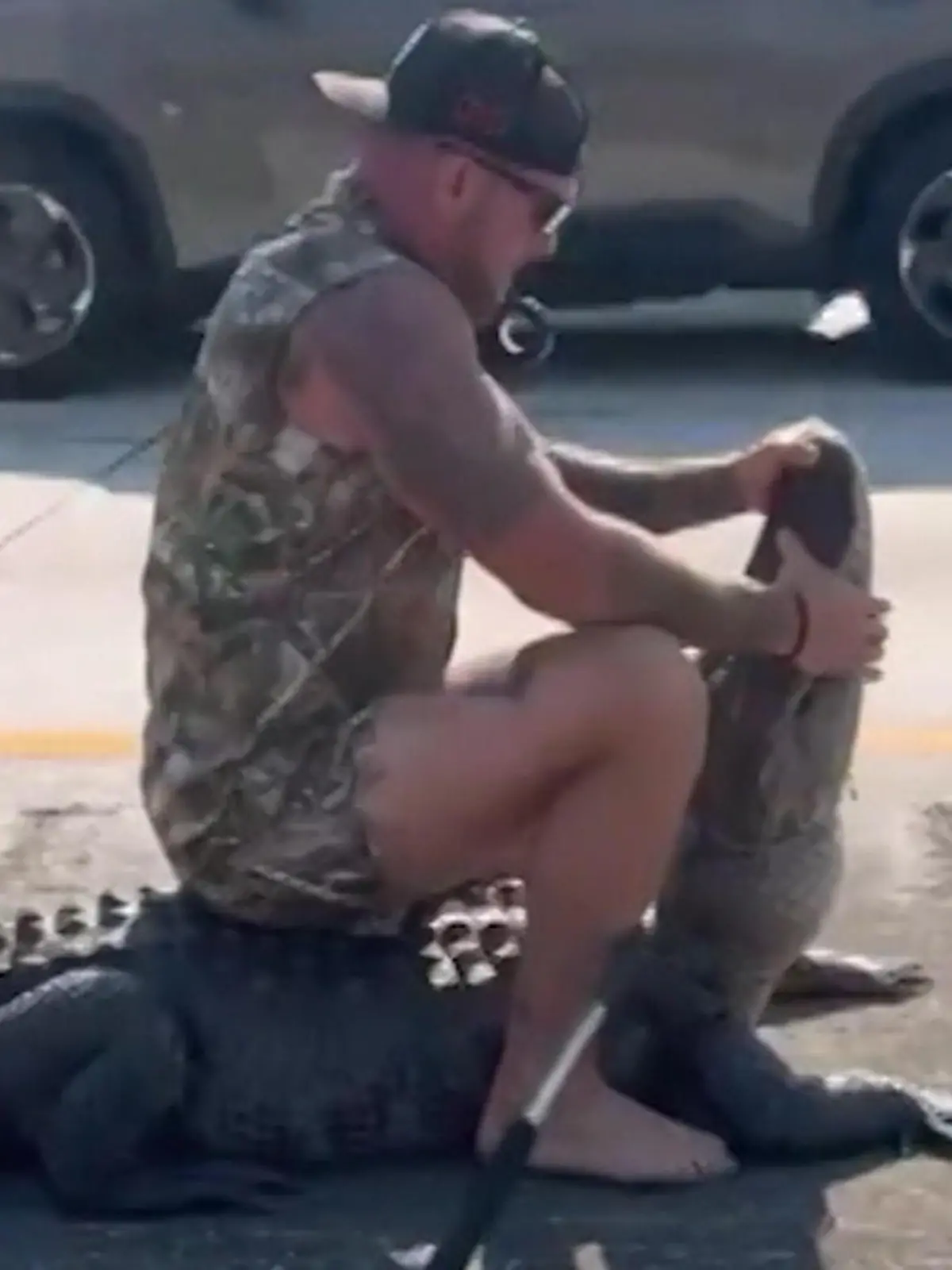 Bild zu: "Mann ringt Alligator auf der Autobahn nieder"