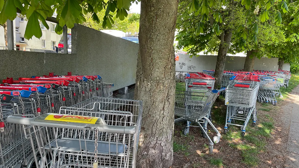 127 Einkaufswagen stehen ordentlich aufgereiht wie beim Supermarkt vor dem Haus.