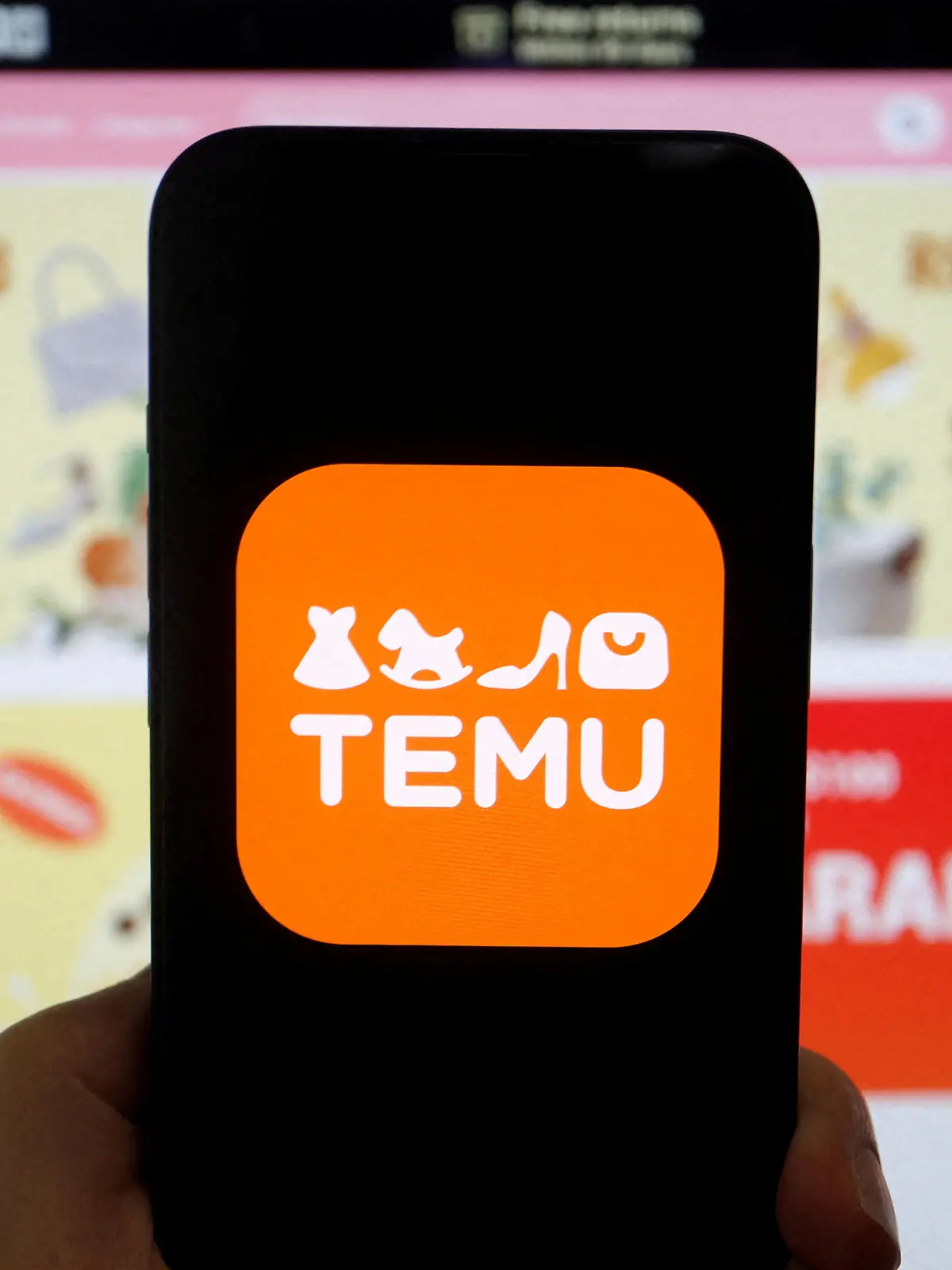 Auf Temu können Verbraucher günstig shoppen. Doch die Online-Plattform aus China wird auch kritisch beäugt. Aktuell wird vor einem Spielzeug gewarnt.
