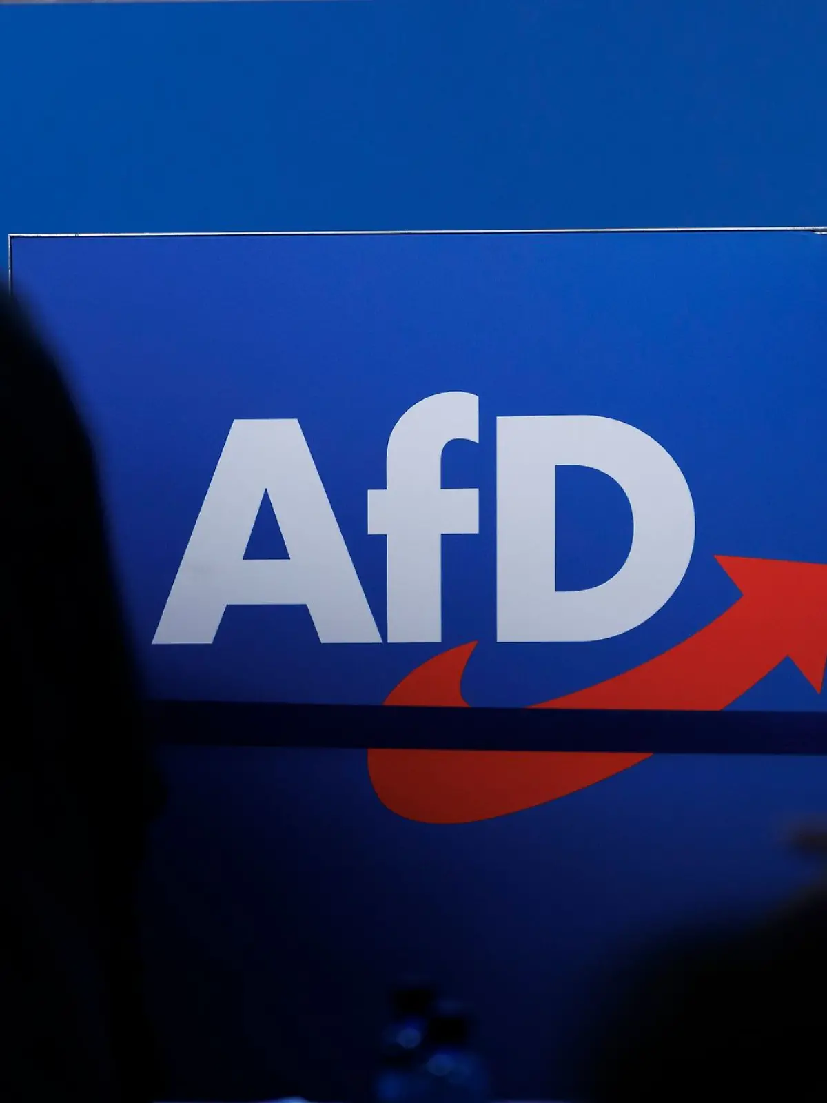 Bild zu: "Jetzt ist es offiziell! AfD ist rechtsextremistisch"