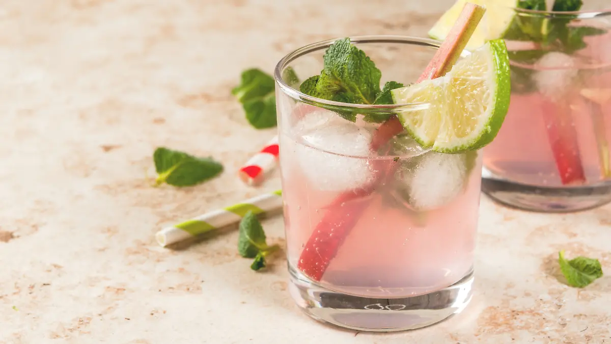 Dieses fruchtige Spritz-Getränk schmeckt einfach köstlich! Kennt ihr schon den Rhabarber-Spritz mit Limette und Minze?
