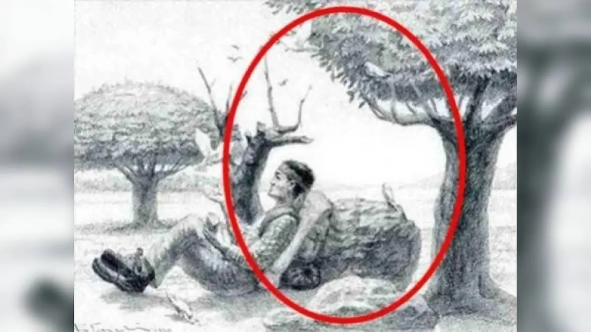 Der Umriss des Pferdes wird aus den Bäumen und dem Baumstamm geformt.