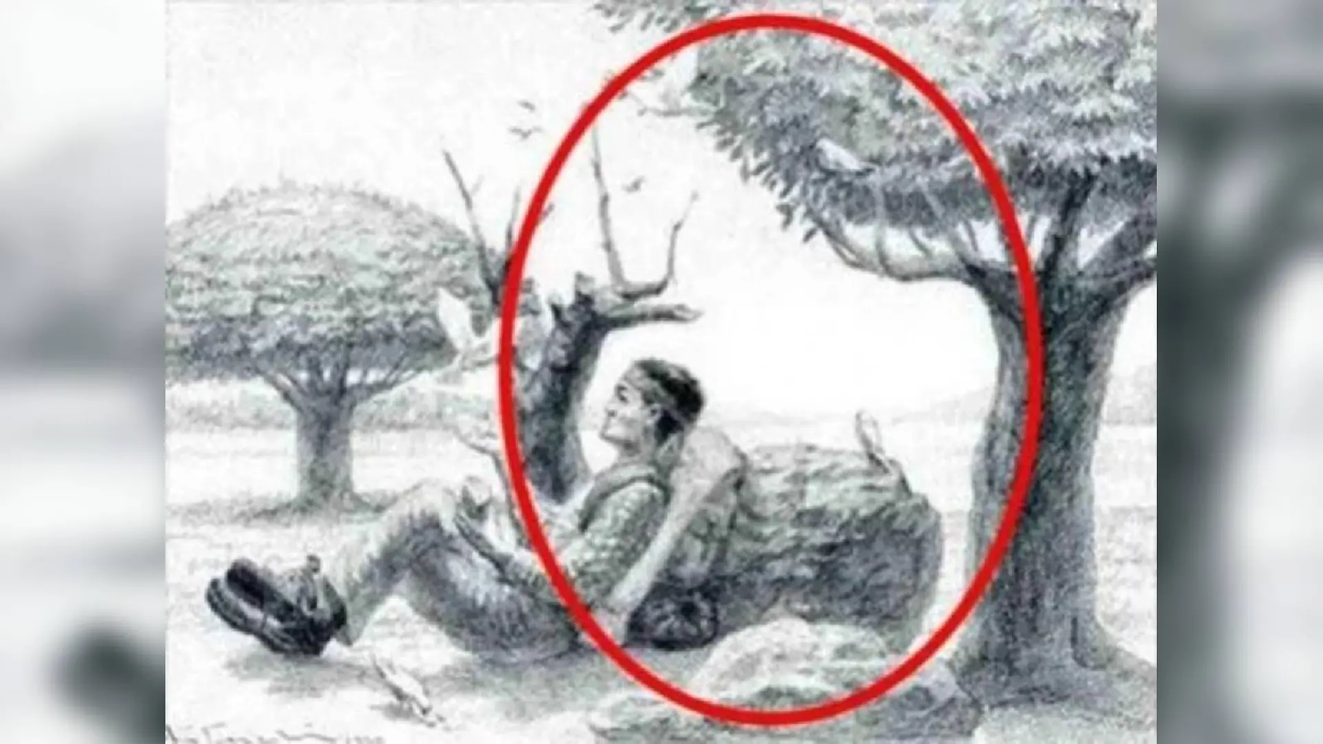 Der Umriss des Pferdes wird aus den Bäumen und dem Baumstamm geformt.