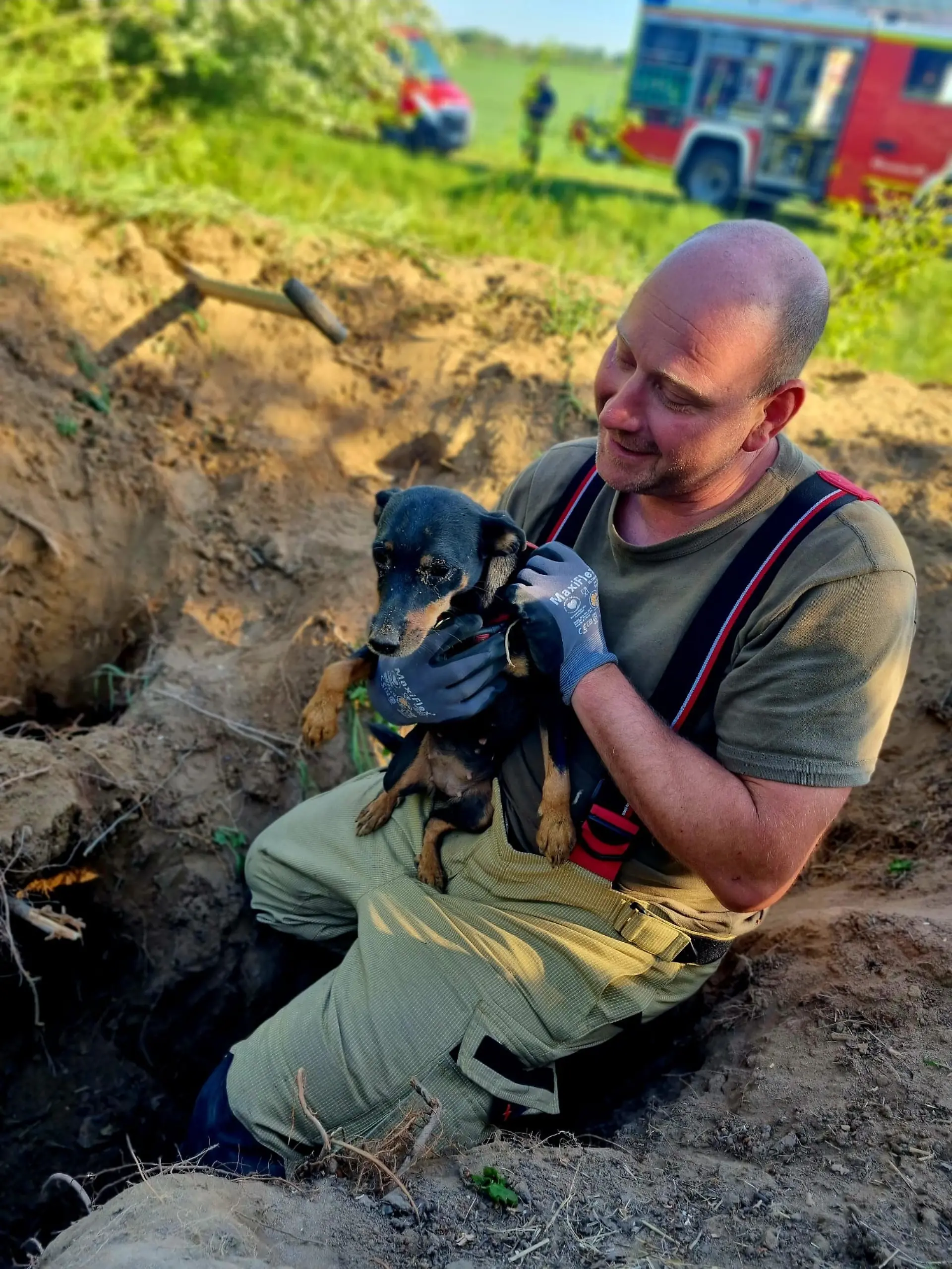 Nach der langen Rettungsmission liegen sich Feuerwehrmann und Hund in den Armen.
