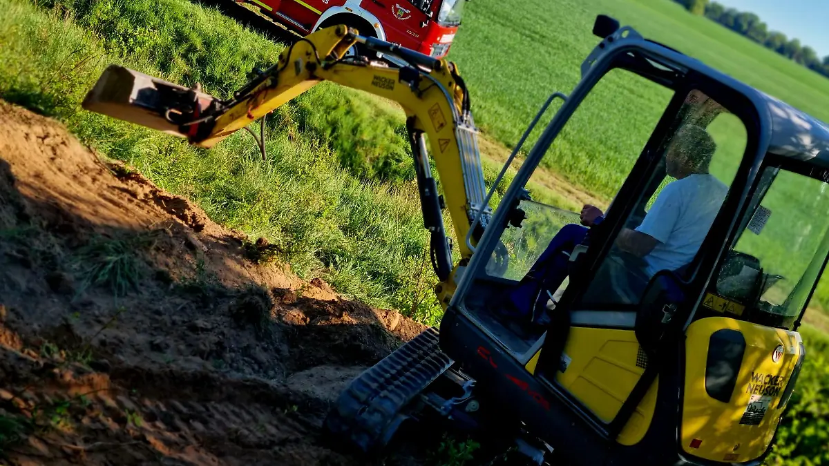 Der Lärm des Baggers war für den Hund wohl zu viel.