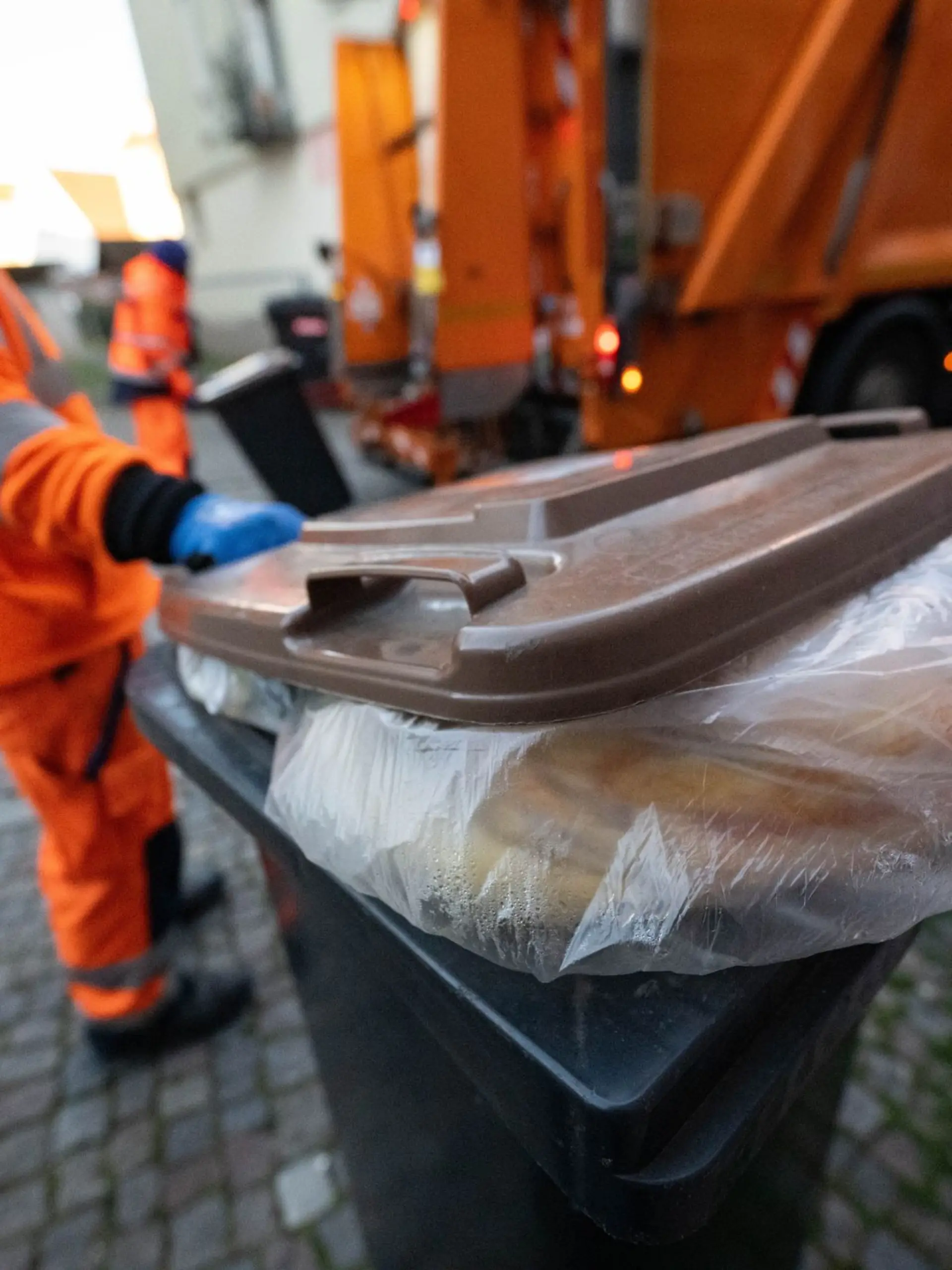 Bild zu: "Neue Regeln für die Biotonne"