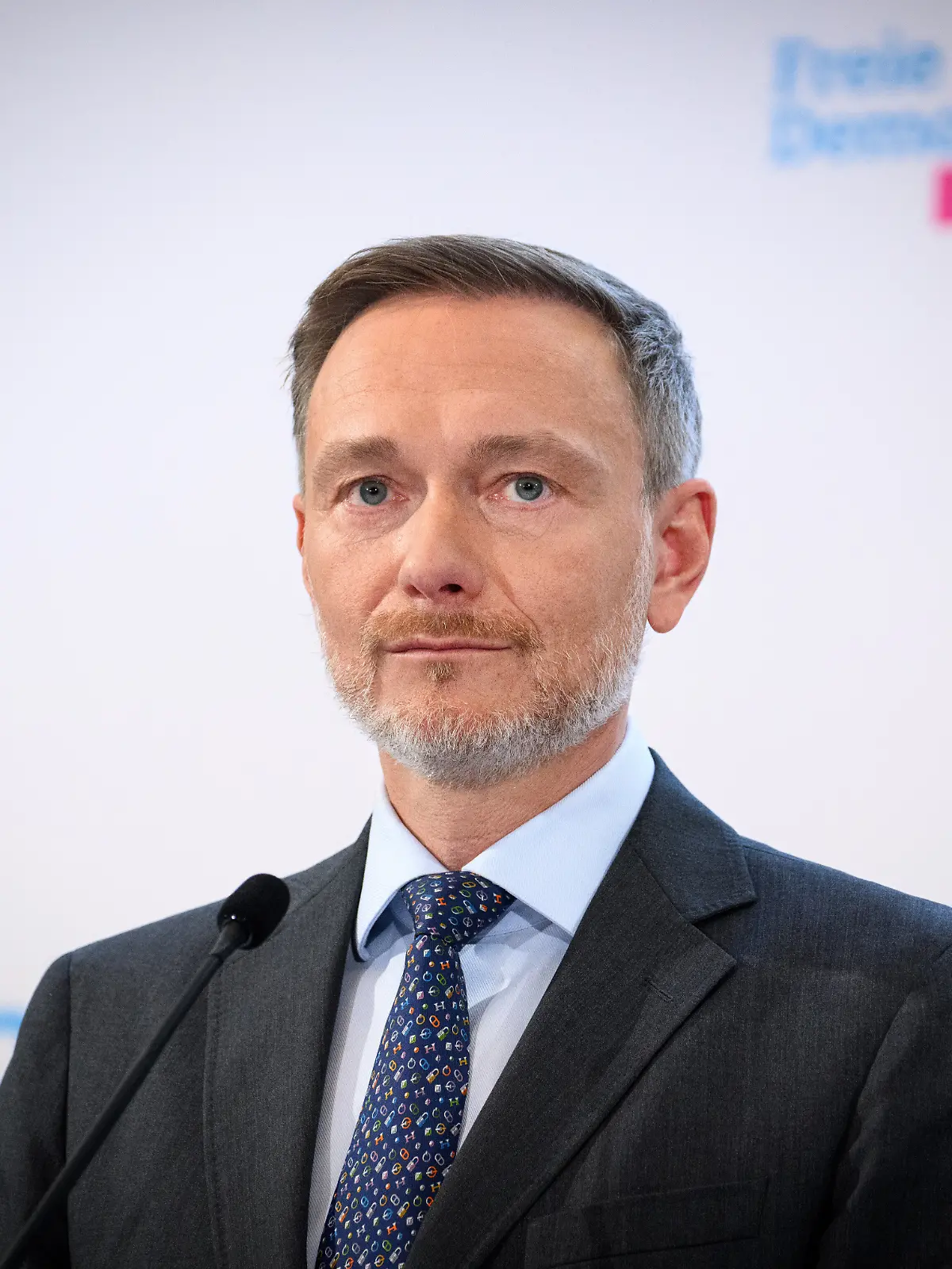 Bild zu: "Christian Lindner überfährt Hund von Star-Produzent"
